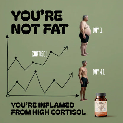 Primal Testosterone Booster